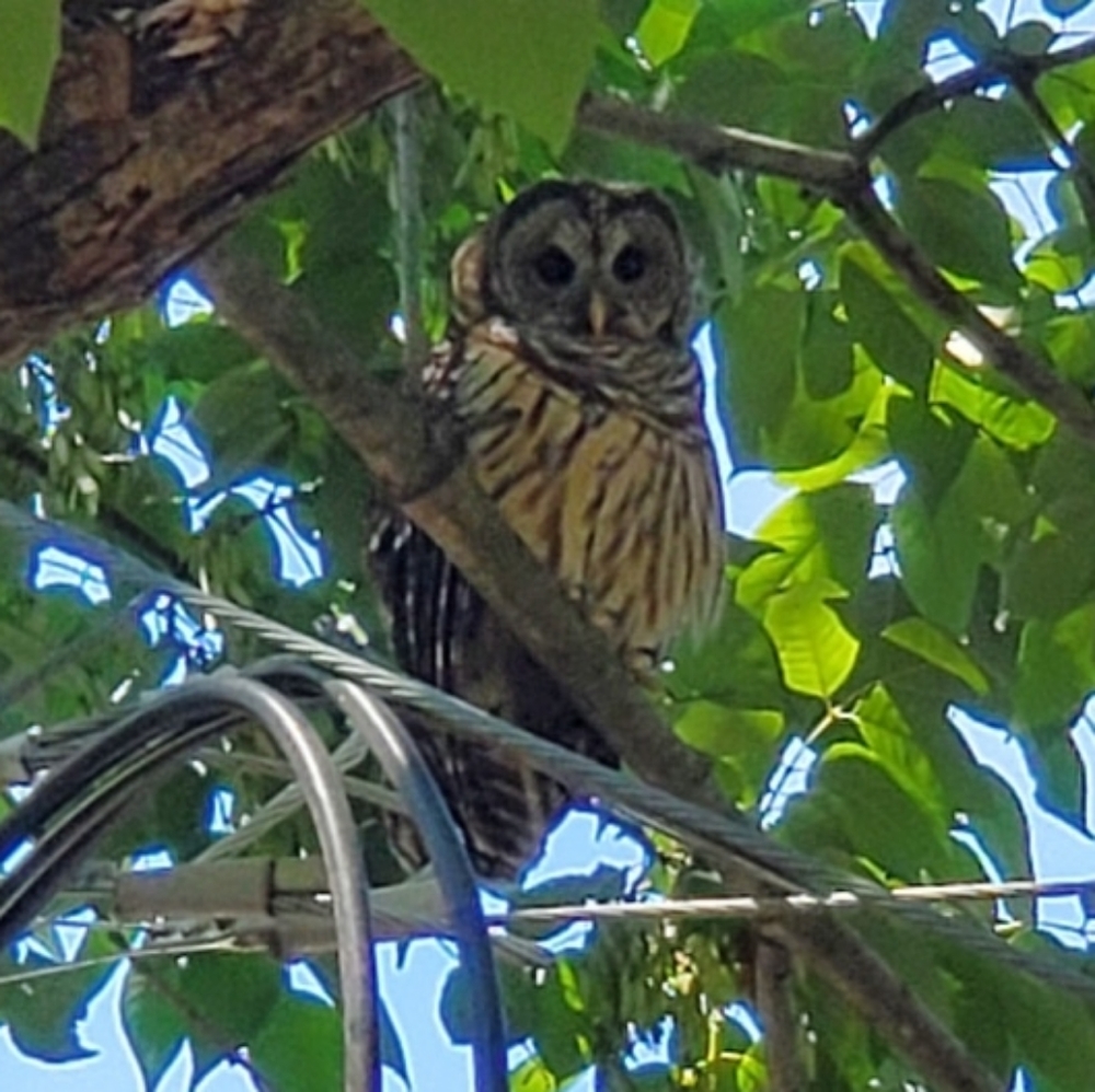 Meet your Posher, Rebecca